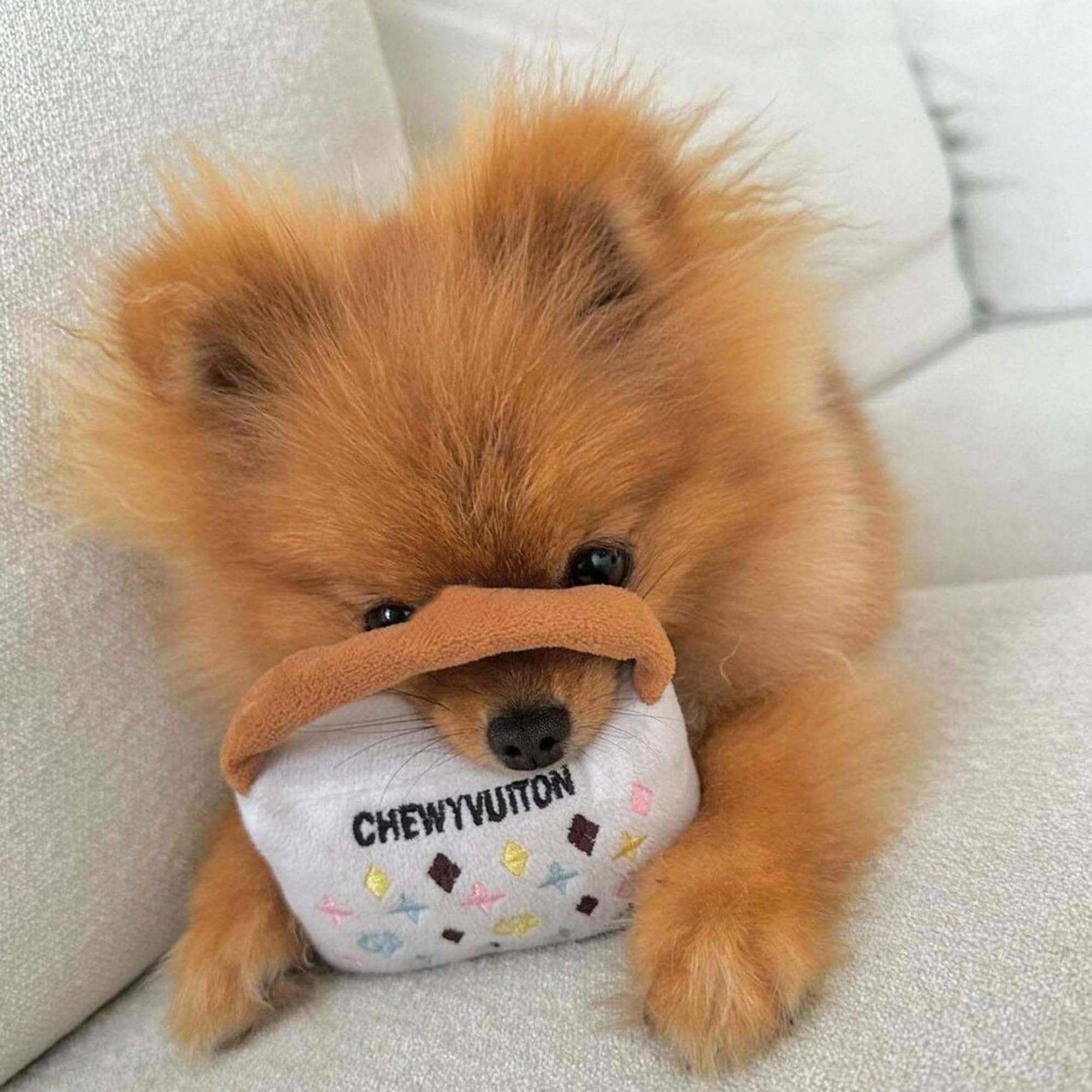 Haute Diggity Dog designer parody toy collection adds playful style for all breeds