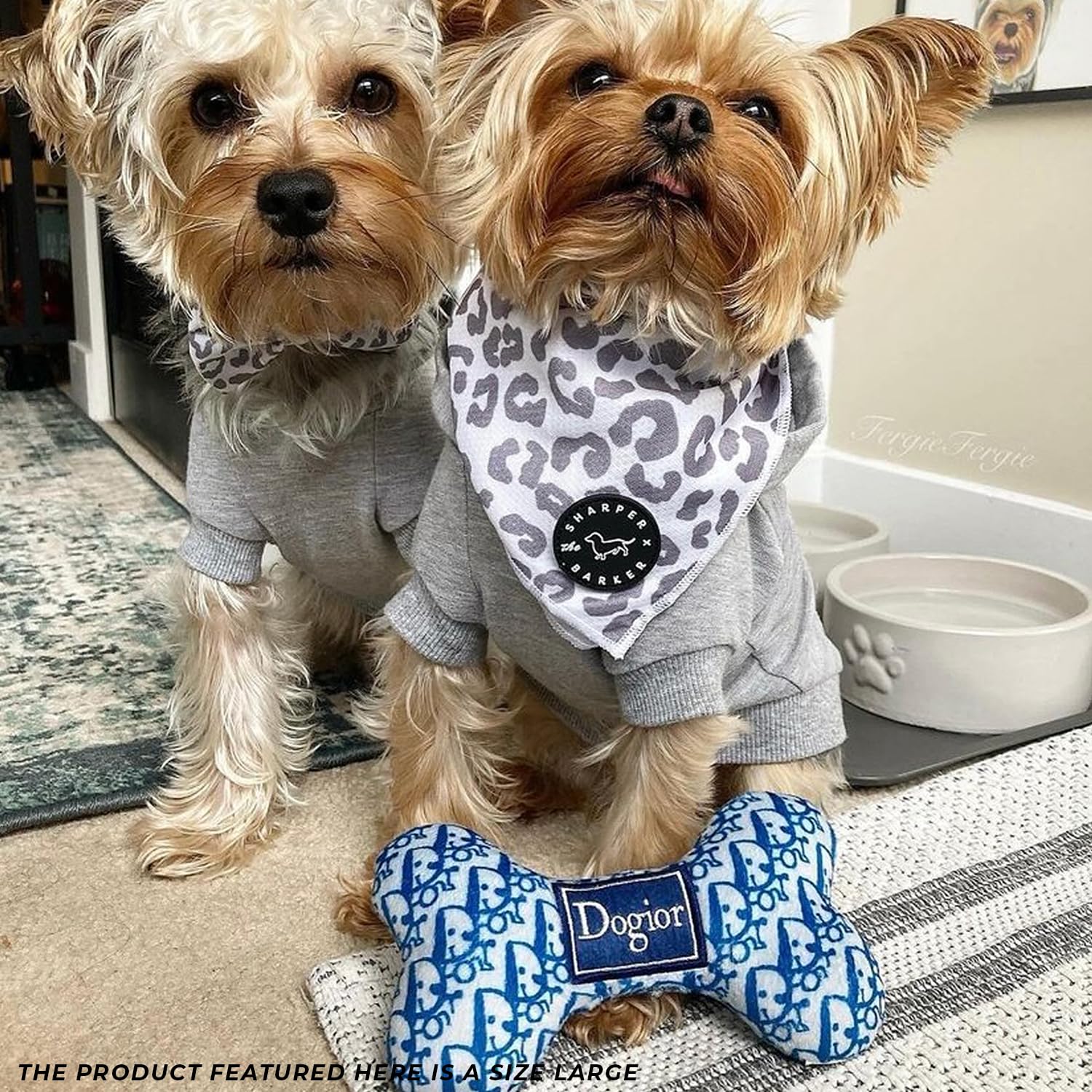 Haute Diggity Dog Dogior Bone ideal for fetch and tug-o-war games.