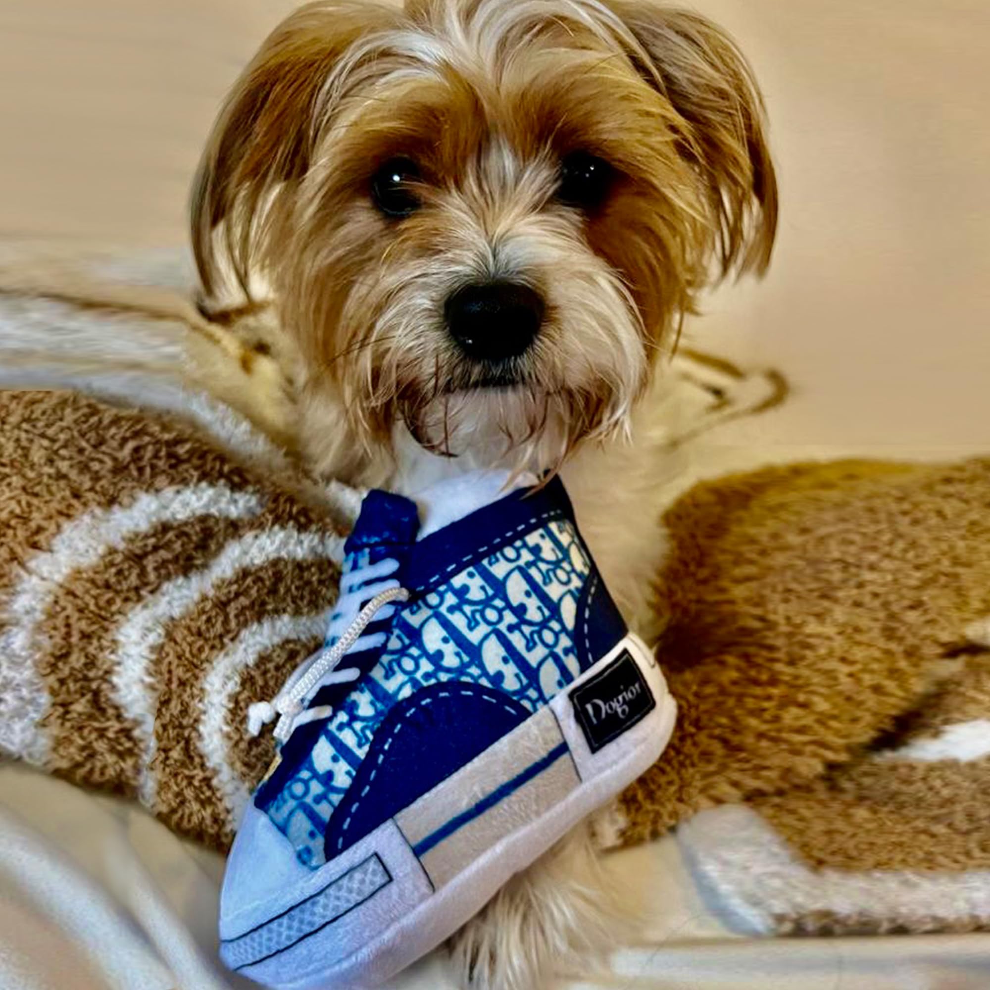 Haute Diggity Dog Dogior high-top tennis shoe toy machine-washable for easy cleanup after adventures.