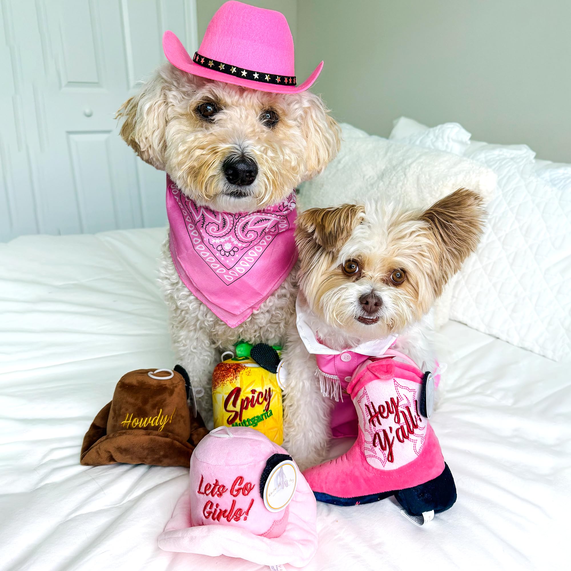 Haute Diggity Dog durability stitching supports daily fetch and chews.