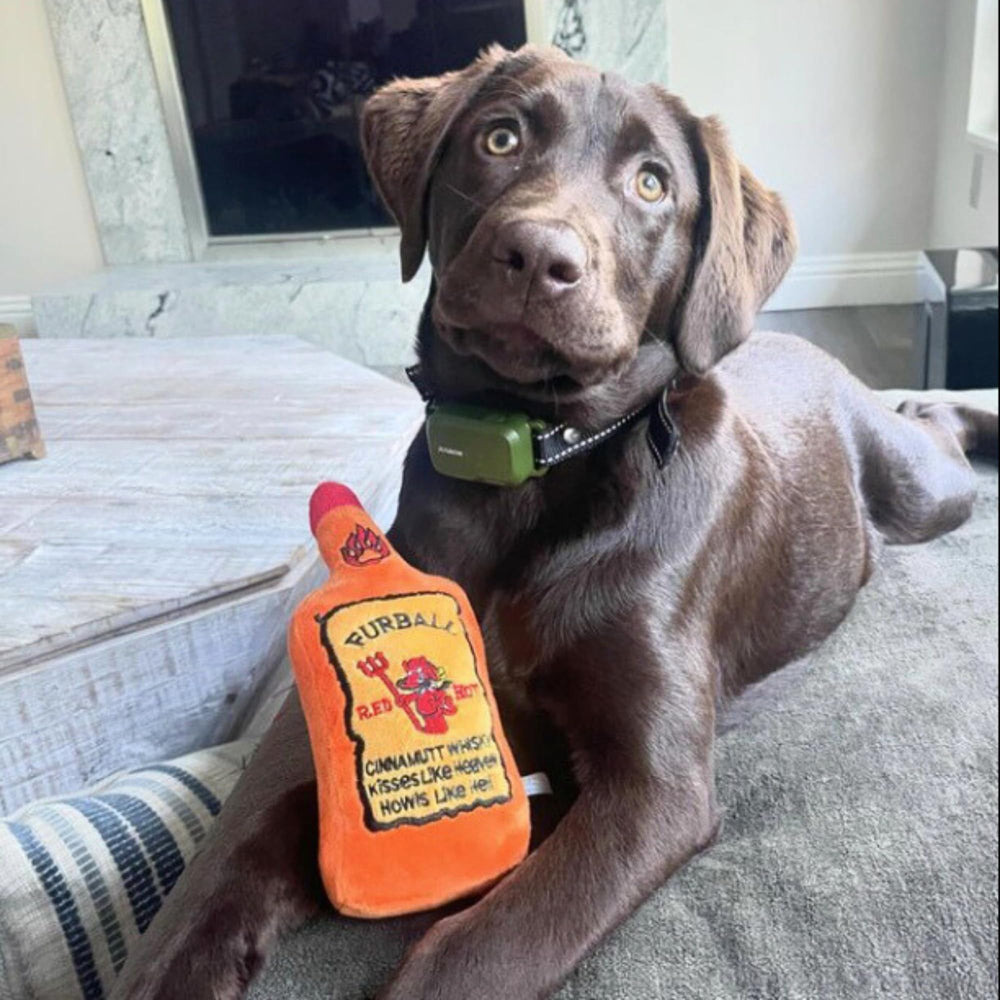Haute Diggity Dog Furball Cinnamutt Whiskey ideal gift for puppies and all breeds.