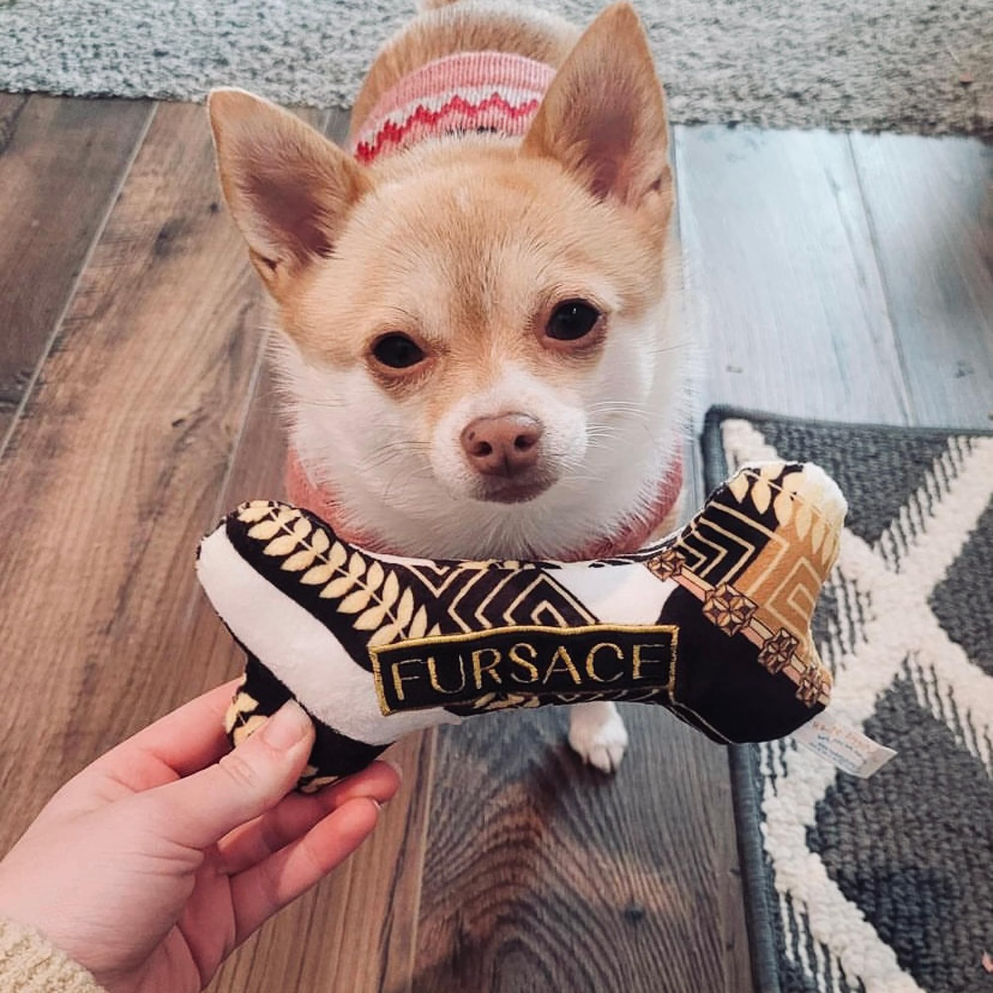 Haute Diggity Dog Fursace Bone suits all breeds for everyday entertainment