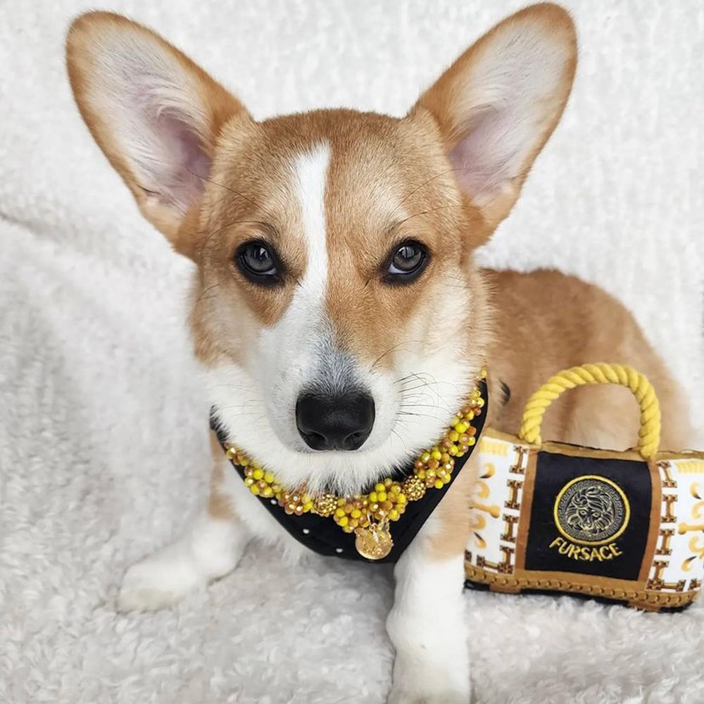 Haute Diggity Dog Fursace Handbag on dog—one-size design for all sizes