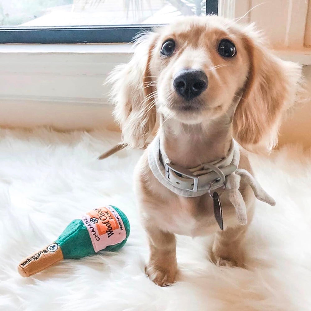 Gift-ready Haute Diggity Dog Woof Clicquot Rose packaging for birthdays