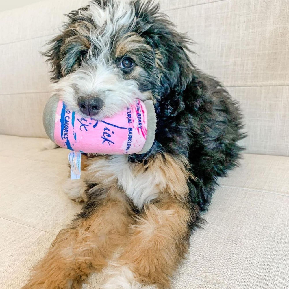 Haute Diggity Dog LickCroix Barkling Water Barkin Berry in-use for tug-o-war and squeak