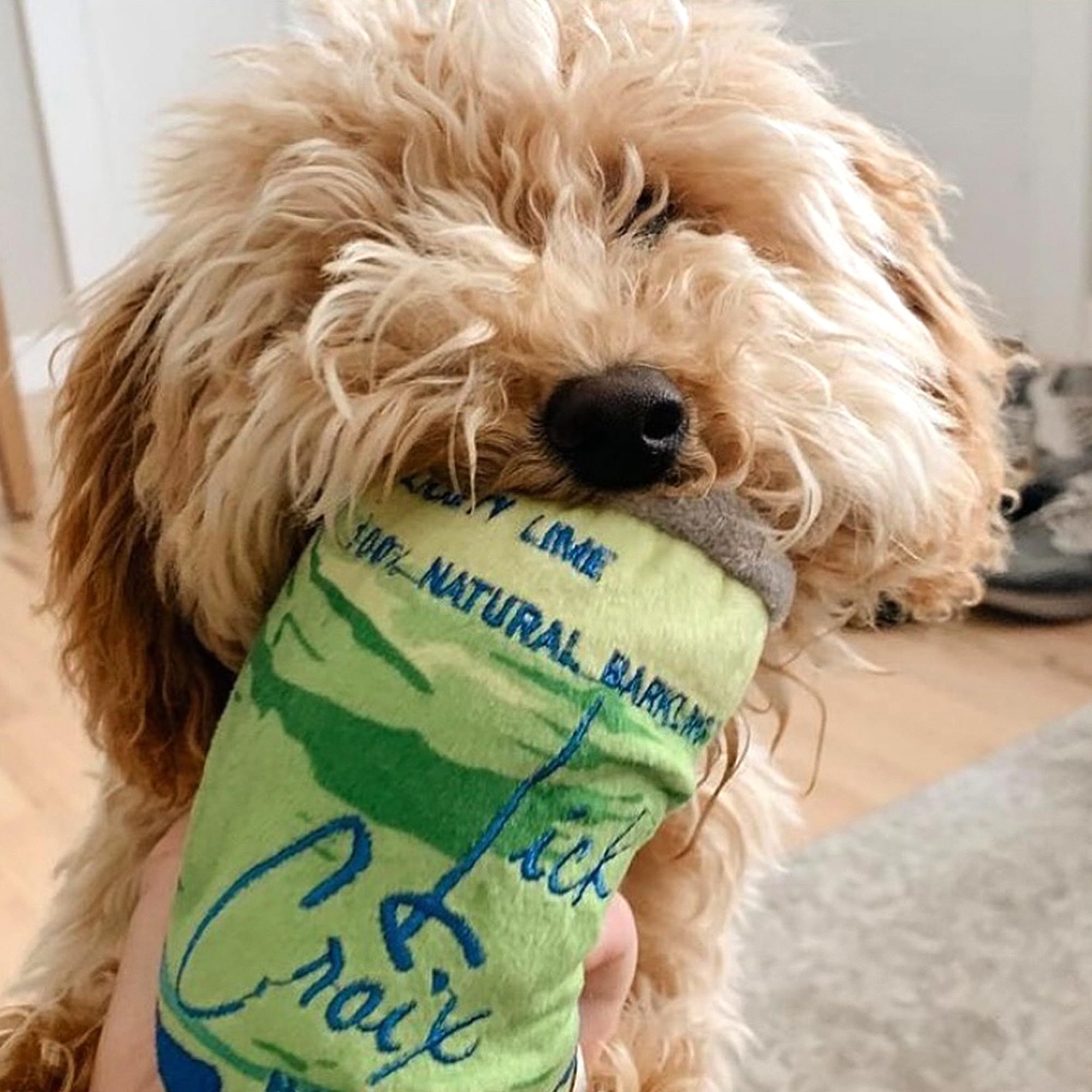 Haute Diggity Dog LickCroix Barkling Water Lickety Lime packaged box presentation.