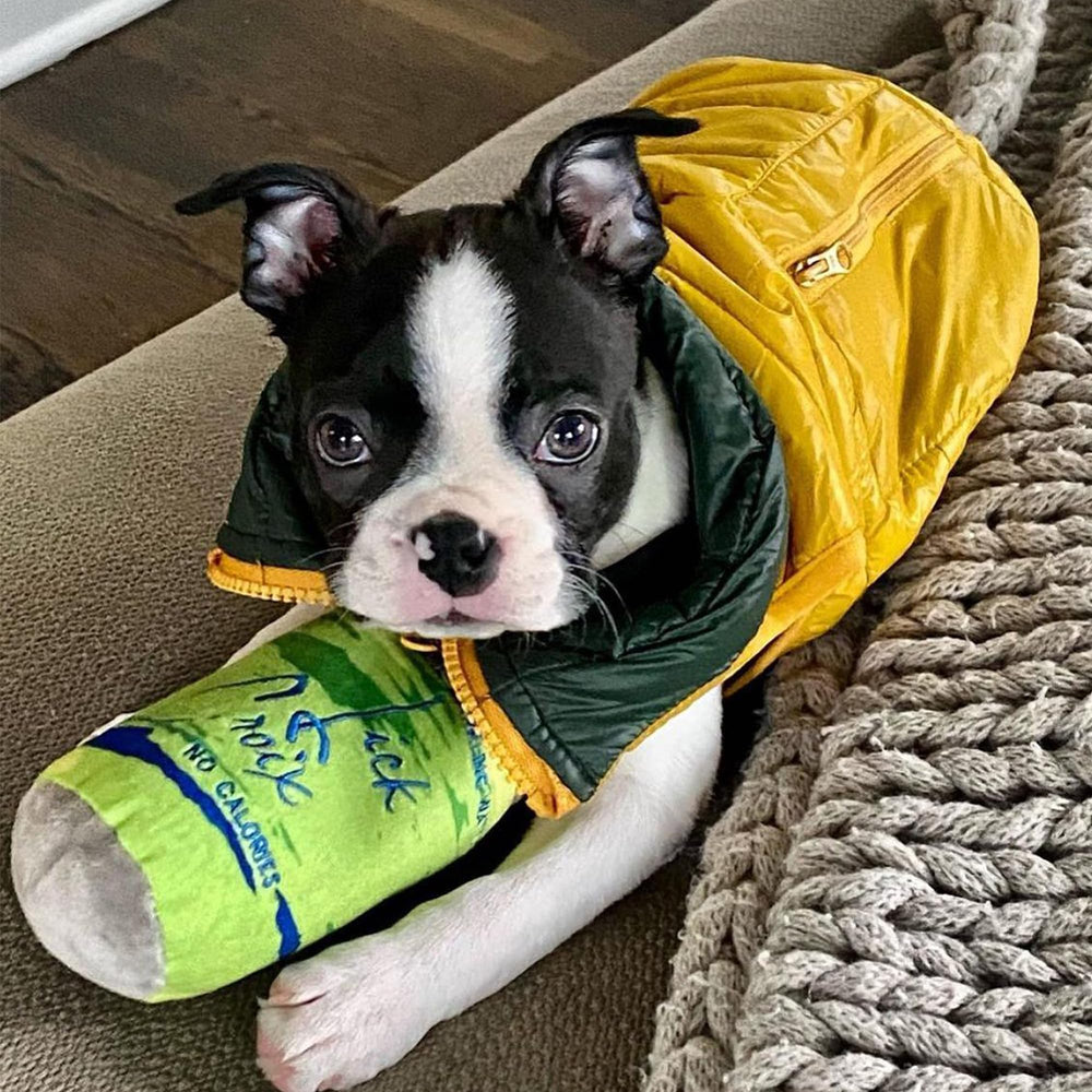 Haute Diggity Dog LickCroix Barkling Water Lickety Lime size large suitable for most breeds.