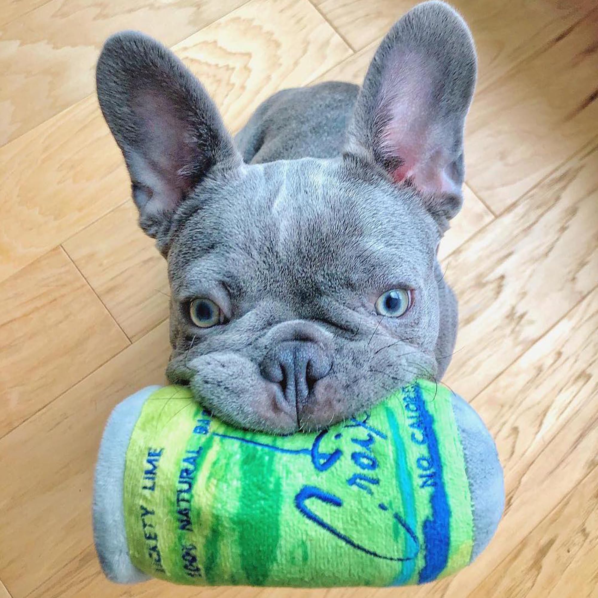 Haute Diggity Dog LickCroix Barkling Water Lickety Lime soft plush material comfortable for cuddle sessions.