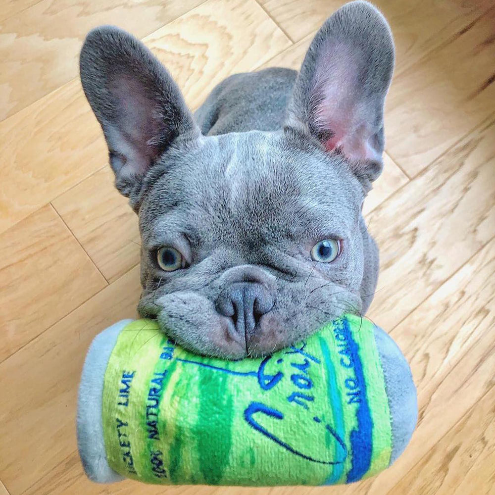 Haute Diggity Dog LickCroix Barkling Water Lickety Lime soft plush material comfortable for cuddle sessions.