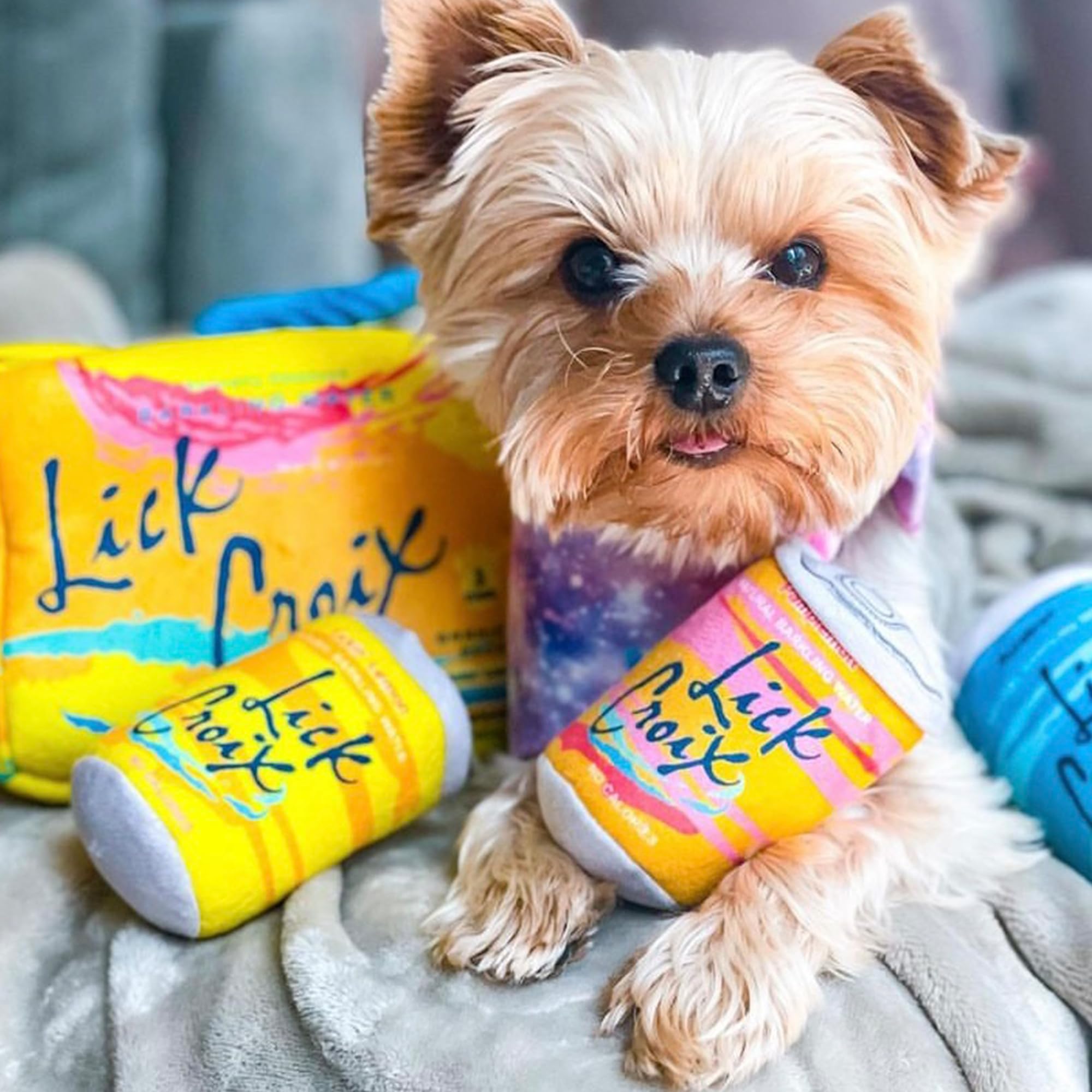 Haute Diggity Dog LickCroix Grrriety Pack machine-washable for easy cleanup.