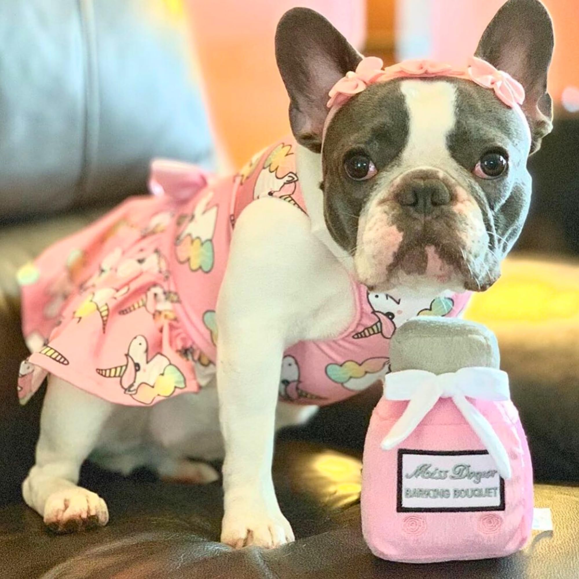 Miss Dogior toy fits all breeds with one-size versatility.