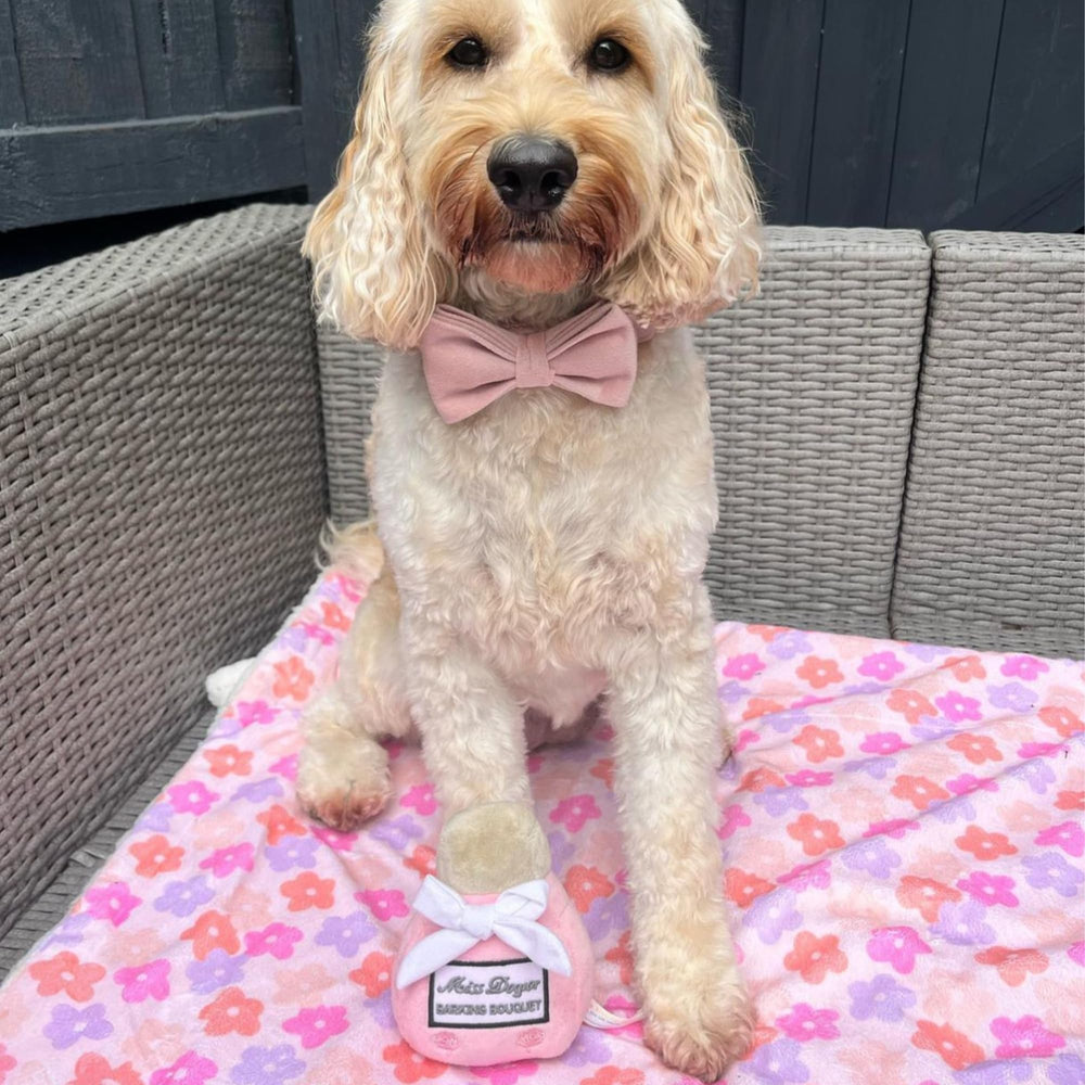 Miss Dogior machine-washable plush toy for easy cleaning after play.