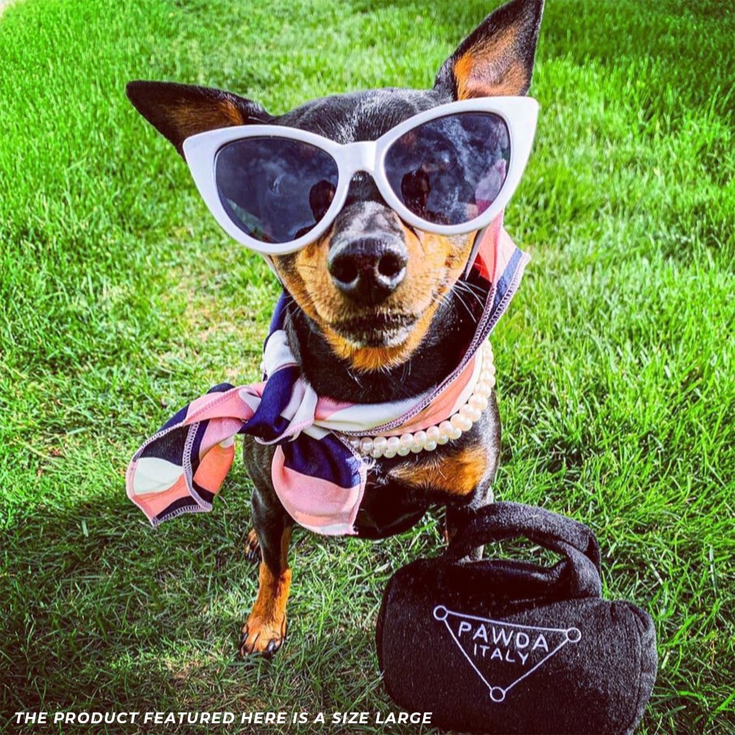 Haute Diggity Dog Pawda Handbag with playful colors attracts attention at the park.