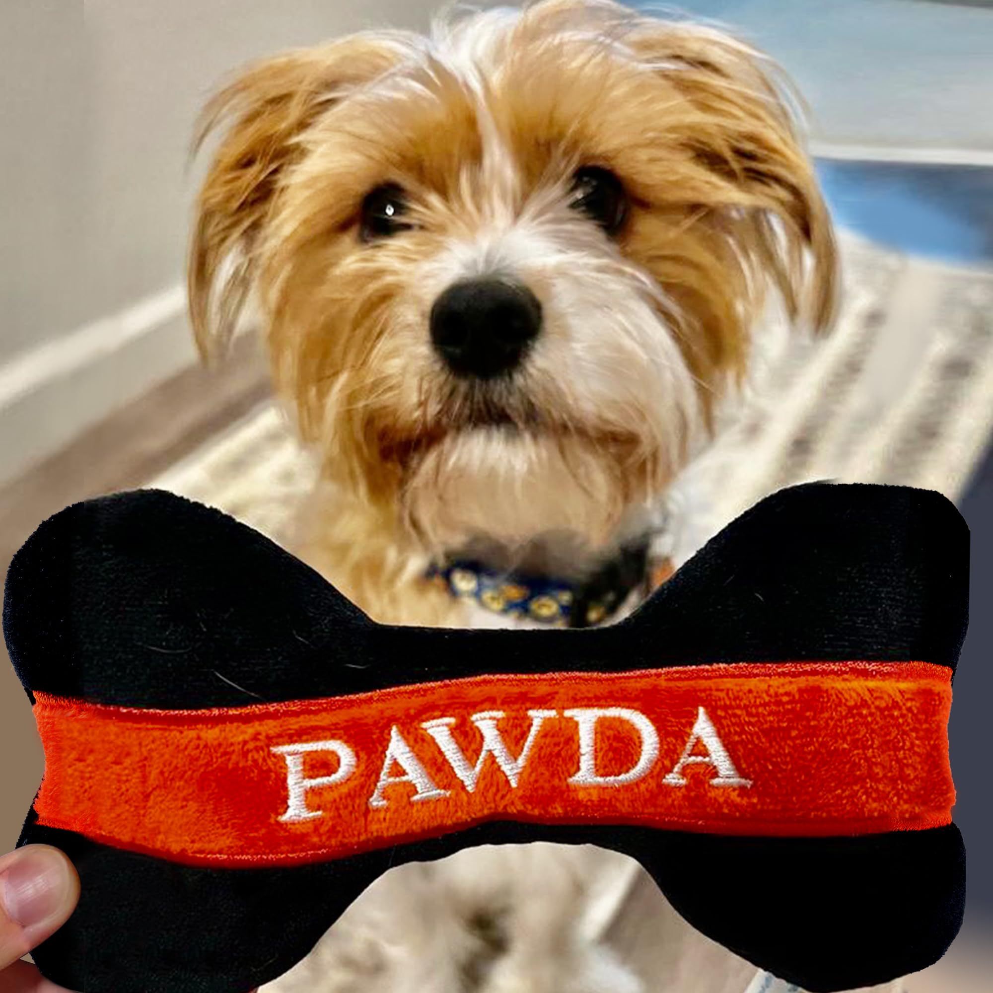 Haute Diggity Dog Pawda Bone machine-washable for easy cleanup