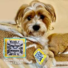 Haute Diggity Dog Pawtier Watch squeaker boosts engagement during fetch and tug sessions.