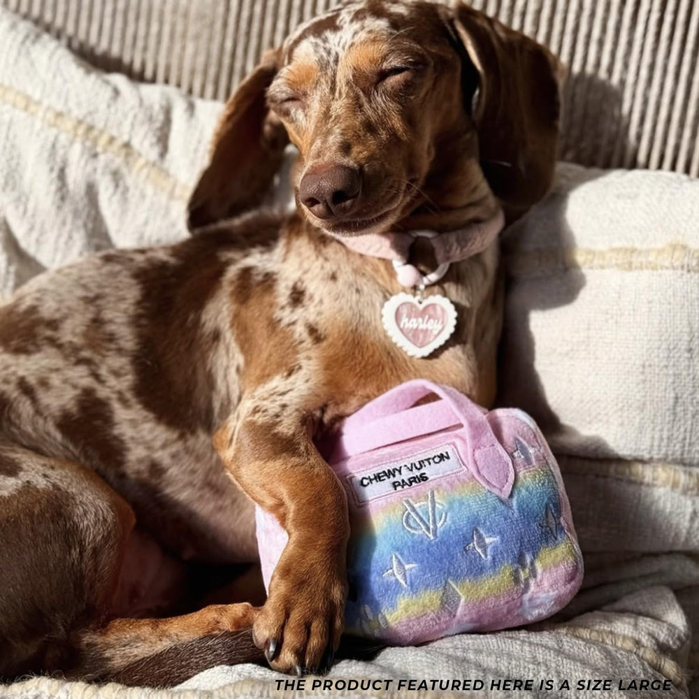 Haute Diggity Dog Pink Ombre Chewy Vuiton Handbag size large suits medium to large dogs