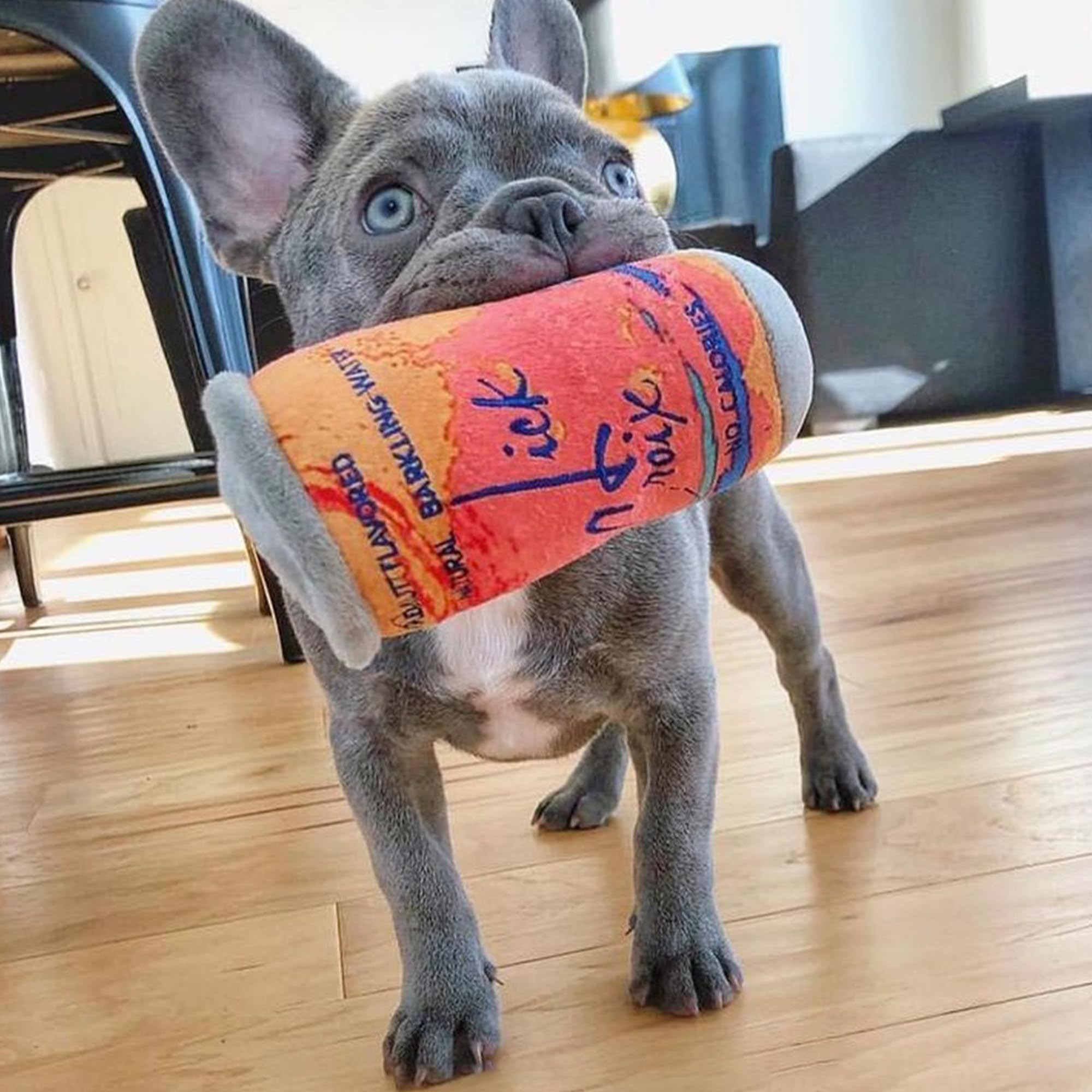 Haute Diggity Dog playful stylish design makes pups the talk of the park.