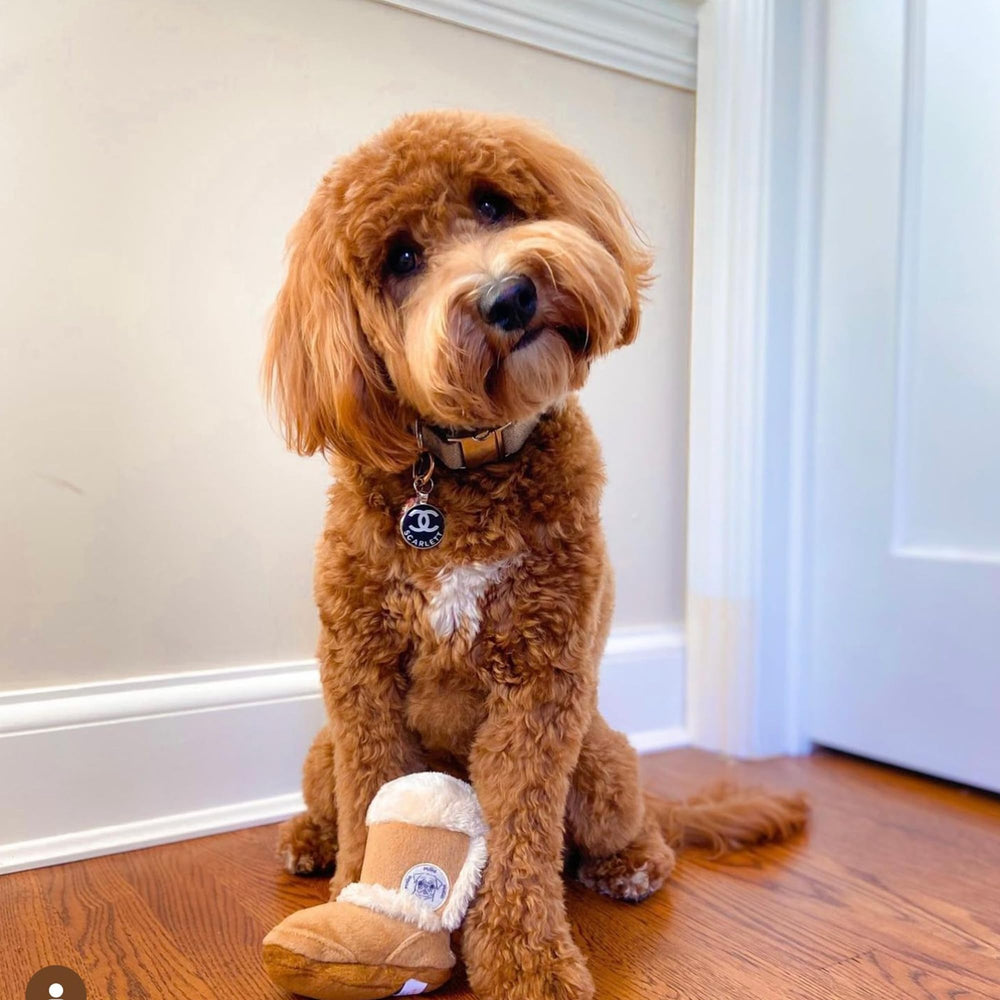 One-size fashion-inspired Pugg Boot fits all breeds for everyday play.