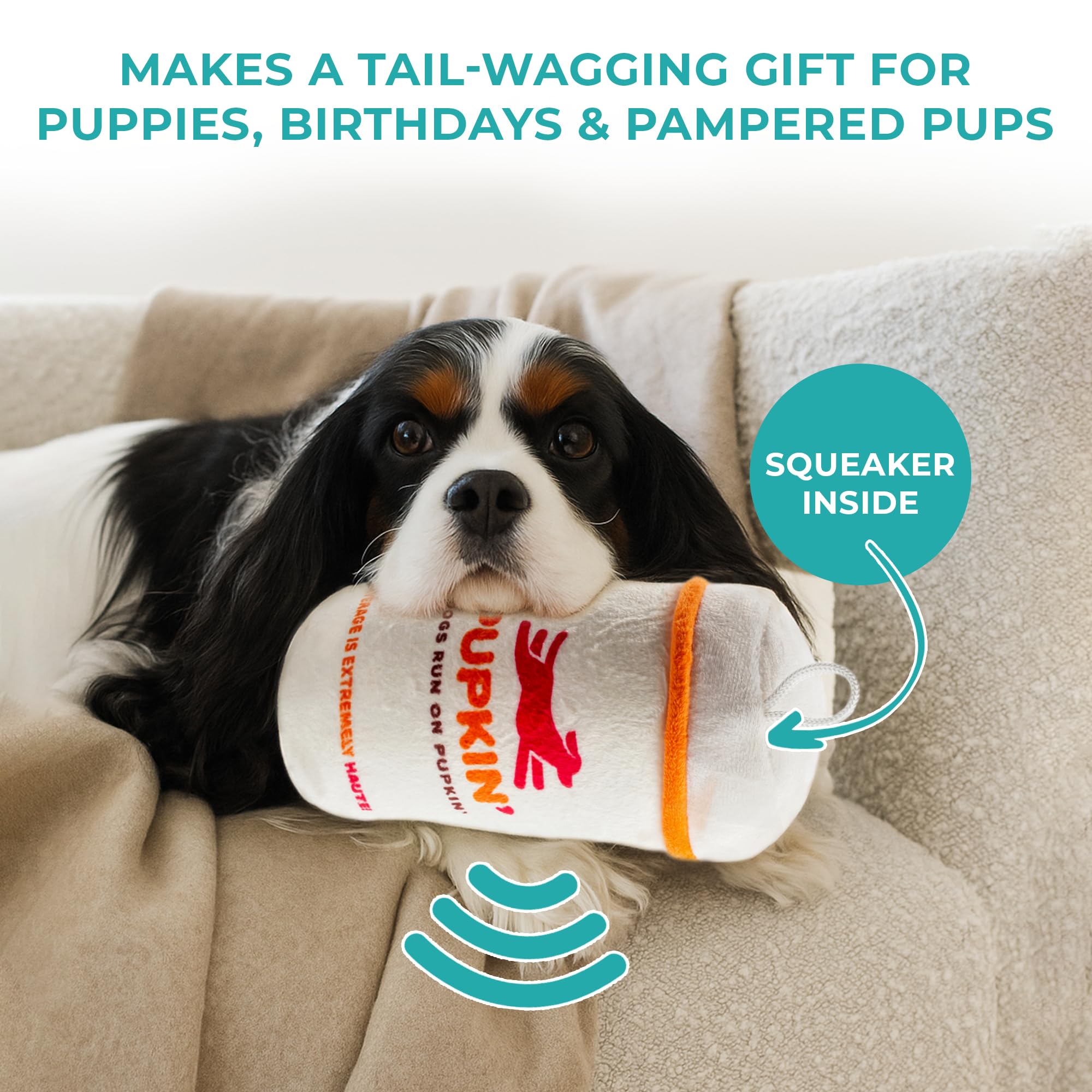Haute Diggity Dog Pupkin Donuts parody branding sparks park-side conversations.