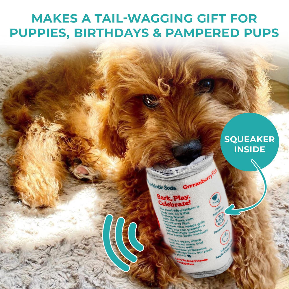 Haute Diggity Dog Puppi Solda Grrranberry Fizz machine-washable care shown on label.