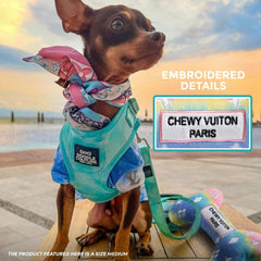 Haute Diggity Dog sonajero incorporado para juego diario