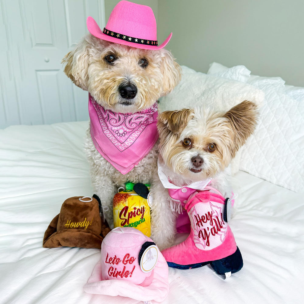 Haute Diggity Dog squeaker inside plush toy to keep dogs engaged.