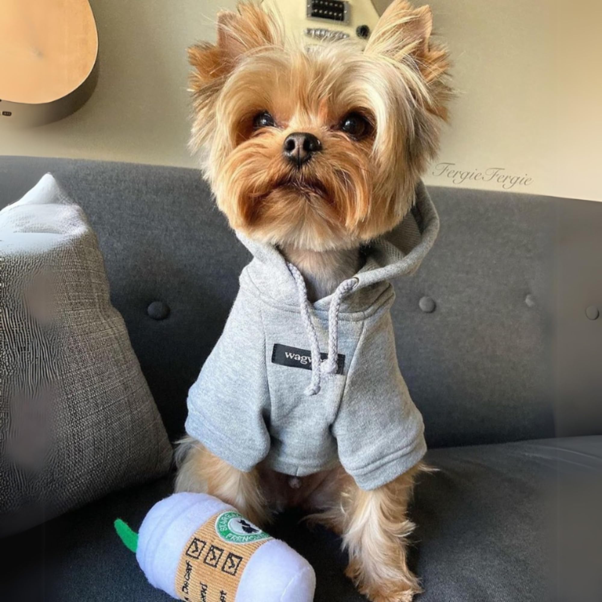 Haute Diggity Dog Starbarks toy is machine-washable for easy cleanups after messy games