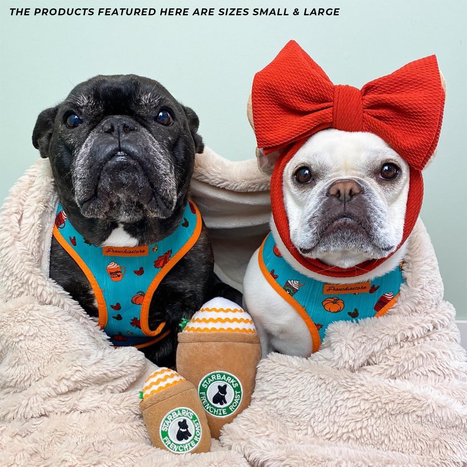 Haute Diggity Dog Starbarks Frappawcino size large suits bigger dogs comfortably.