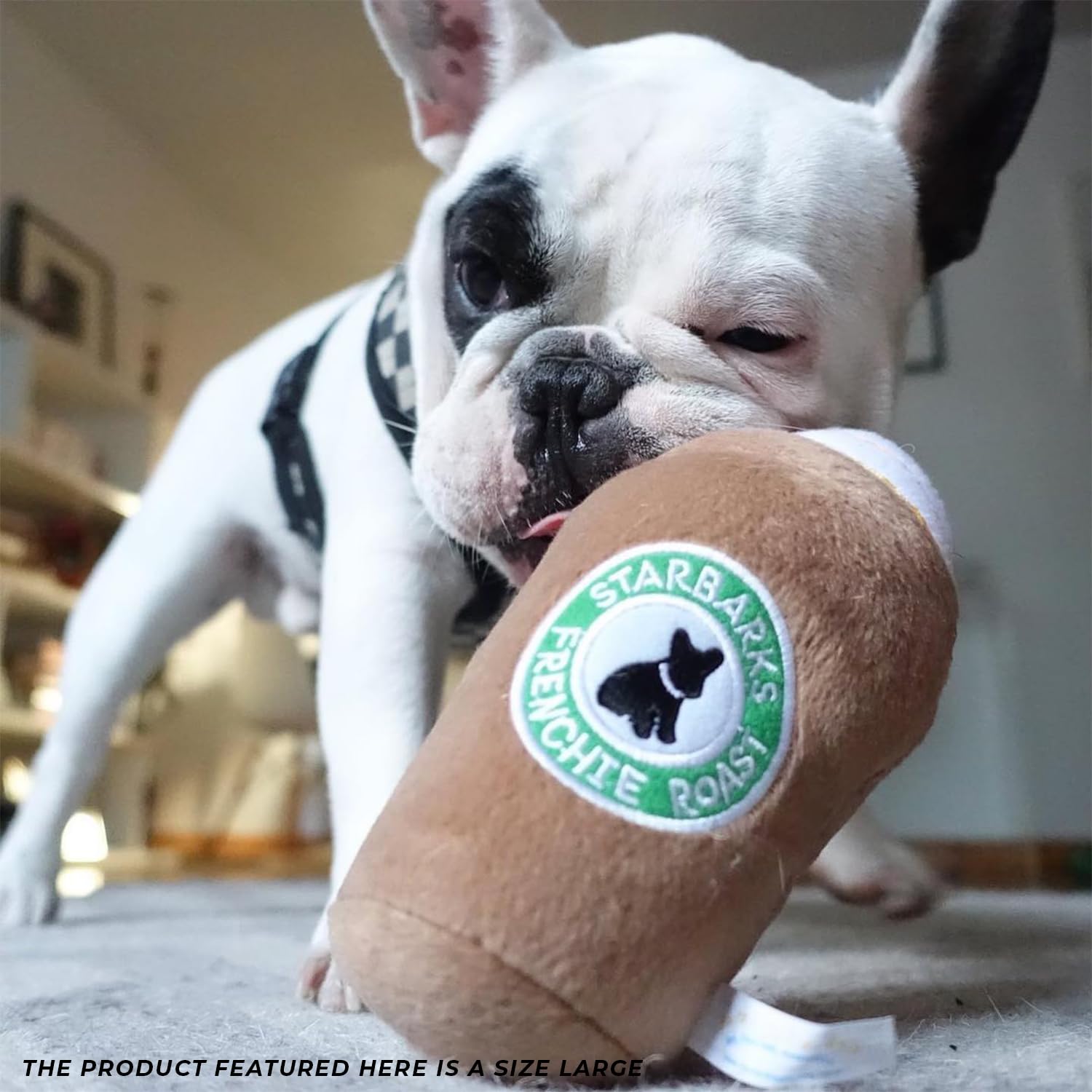 Haute Diggity Dog Starbarks Frappawcino tug-o-war-ready design invites active play.