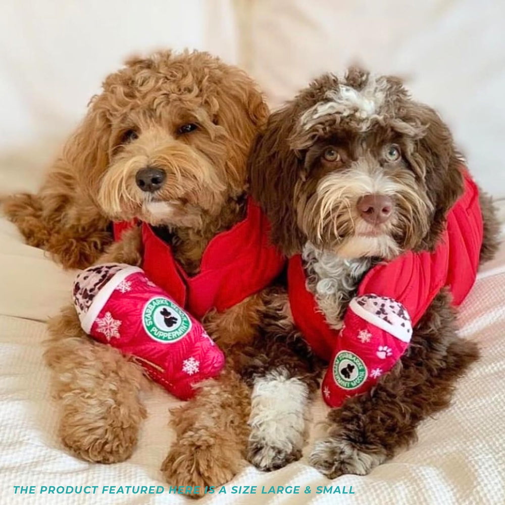 Haute Diggity Dog Starbarks Puppermint Mocha for fetch, tug, and cuddle play sessions