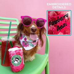Haute Diggity Dog Starbarks Ruffresher embroidered Pawberry Acai accents add playful charm during fetch.