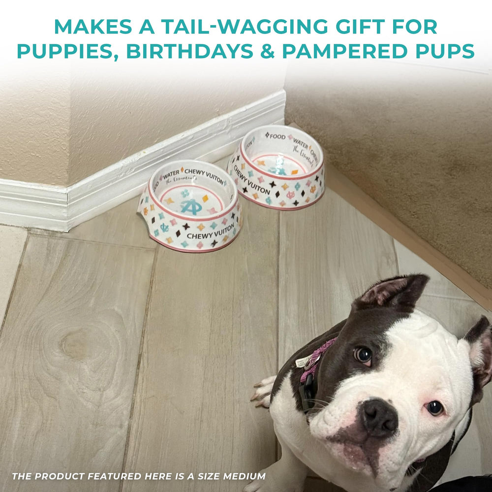 Haute Diggity Dog two-bowl set offers convenient food and water options.