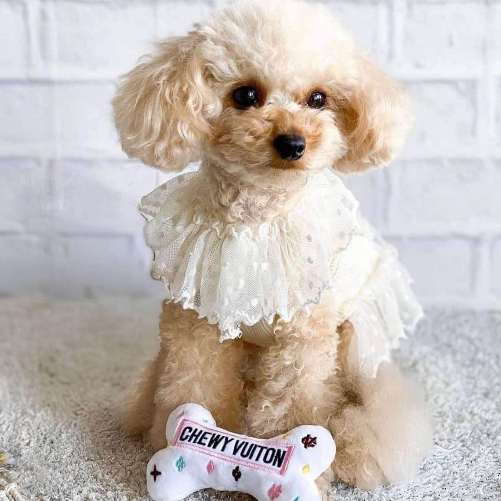 Lavable a máquina Haute Diggity Dog White Chewy Vuiton para limpieza fácil