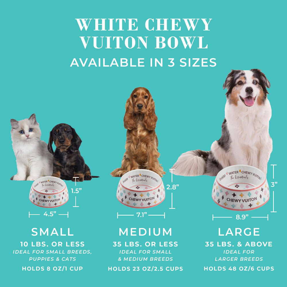 Haute Diggity Dog Chewy Vuiton placemat paired with bowls for tidy dining.