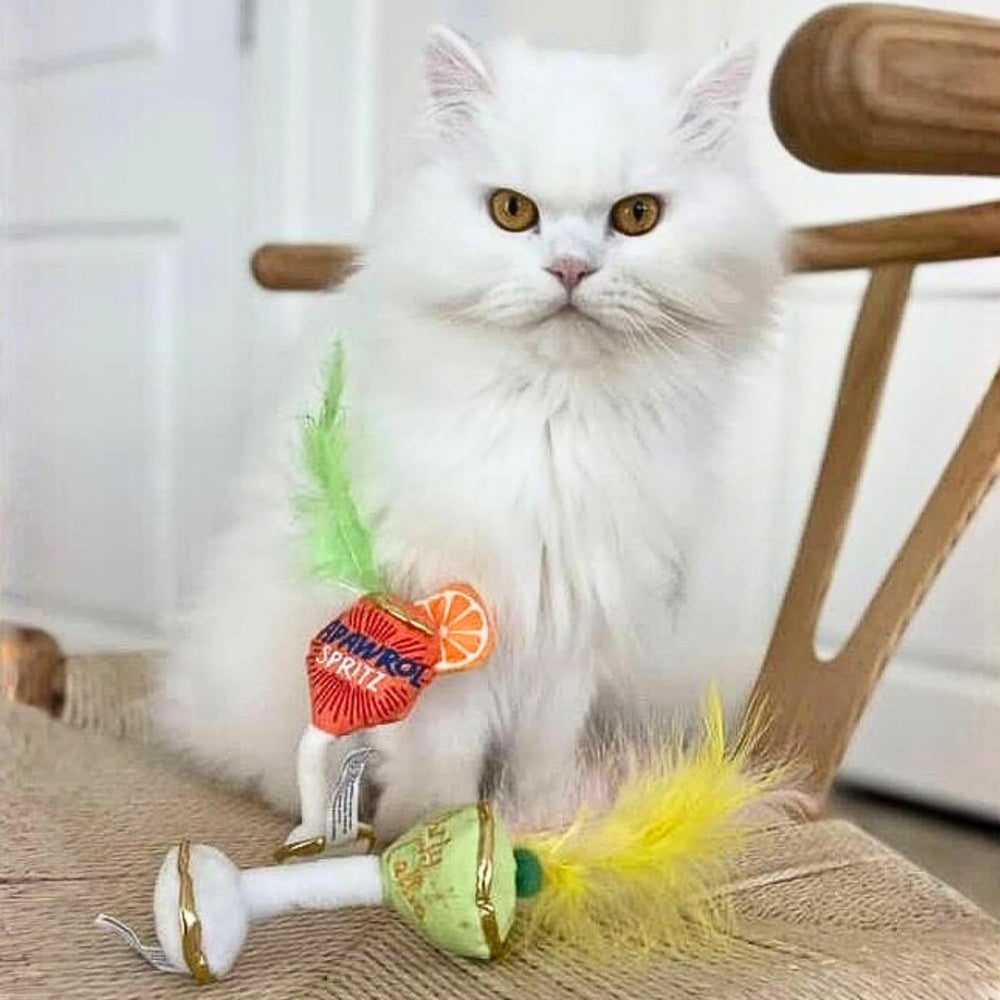 Haute Diggity Kitty crackle-sound toy adds engaging sensory play for kittens.