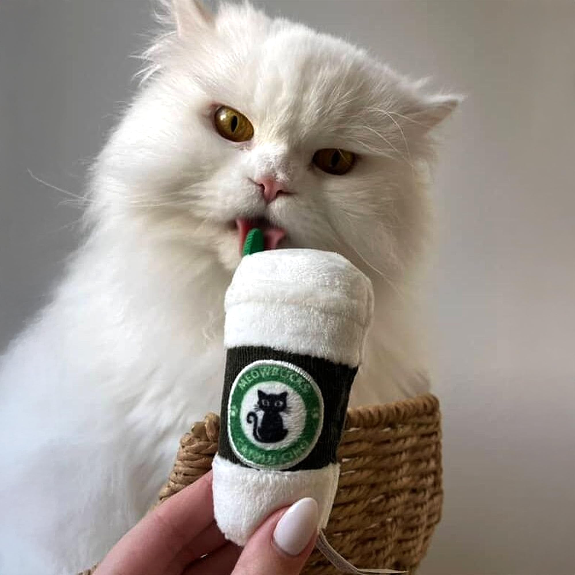 Haute Diggity Kitty Playtime Action demonstrates cats enjoying soft plush toys.
