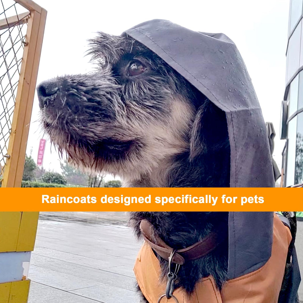 Havenfly cape-design raincoat on a dog adds style and visibility.
