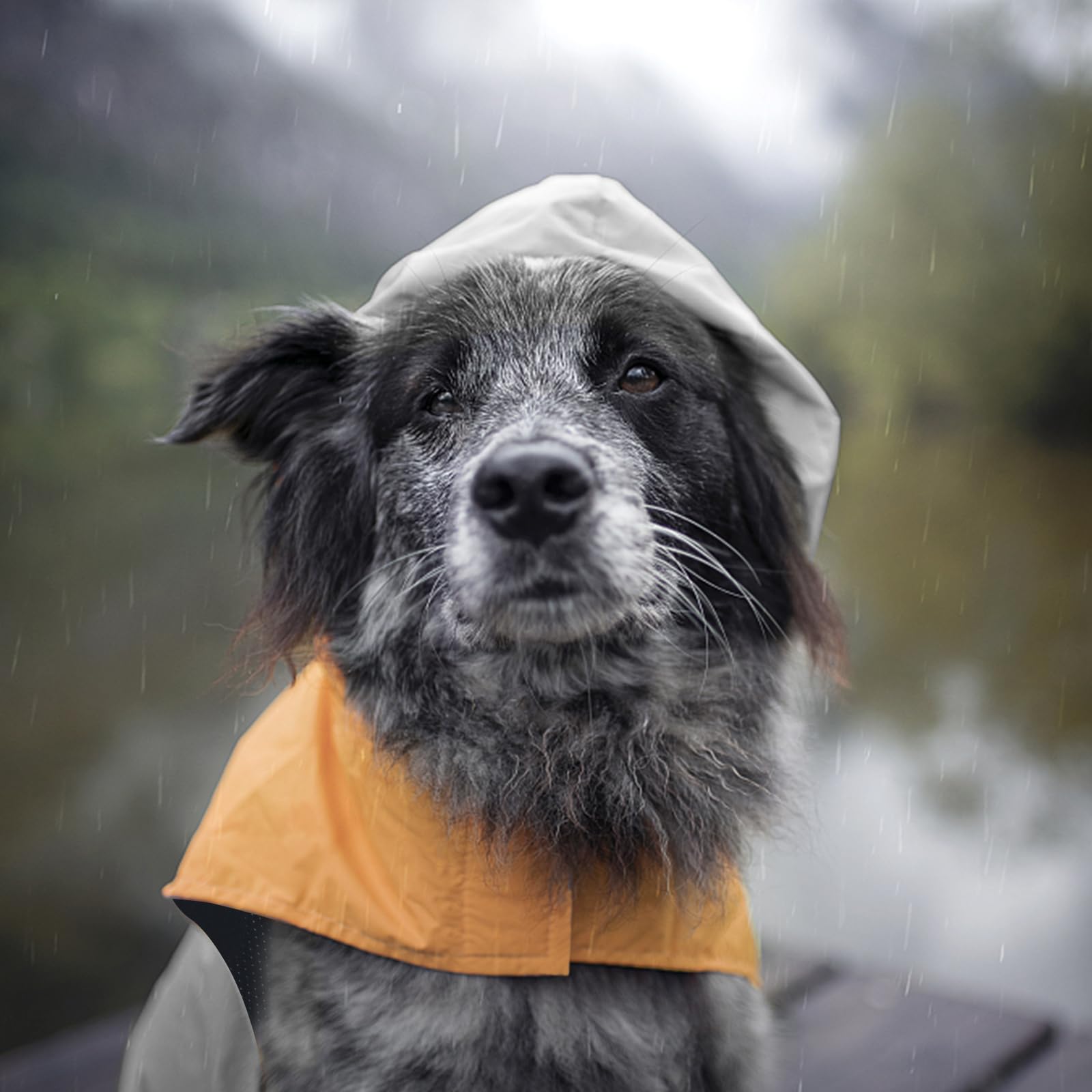 Havenfly raincoat stored in car or backpack for travel convenience.