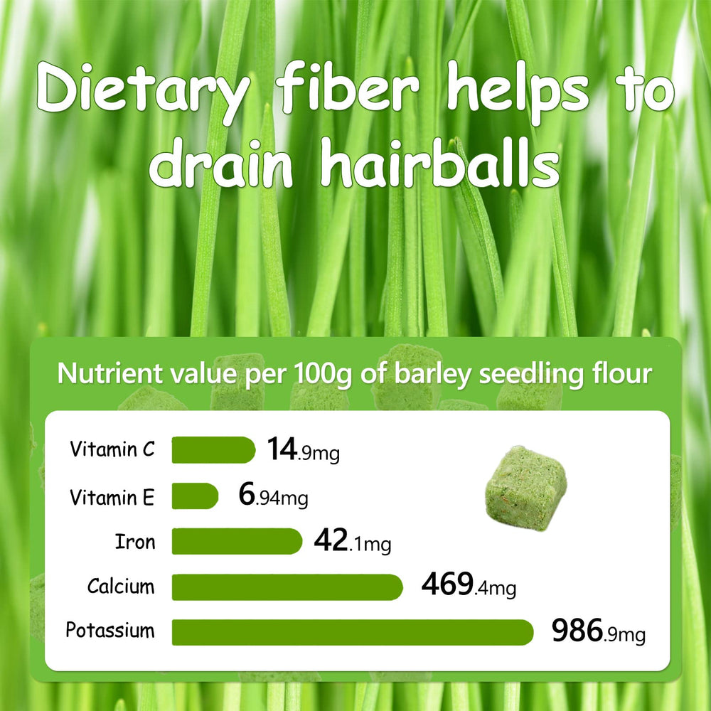 HavenJanny cat dental-health snack emphasizing plant fibers for dental care