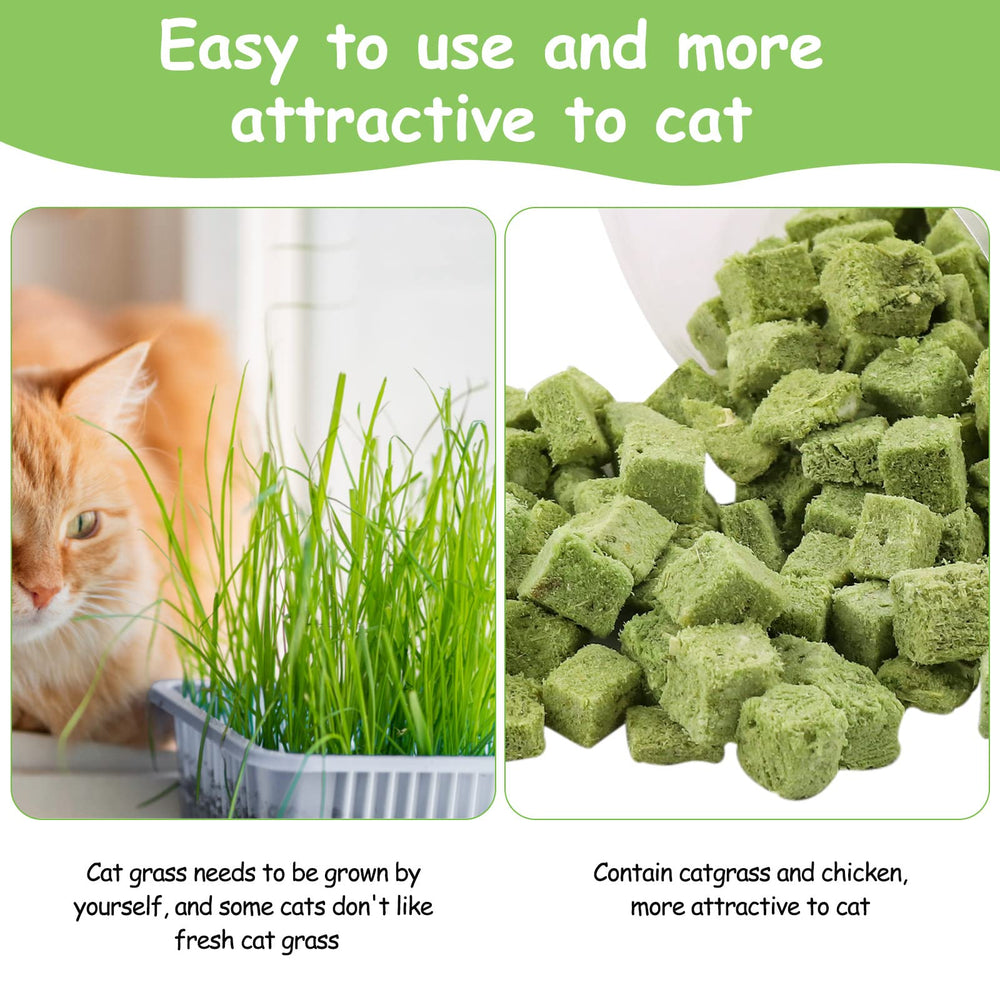 HavenJanny cat-grass-treats-oral-health-benefit photo highlighting plaque reduction and breath freshness