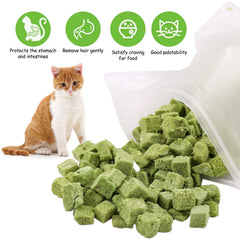 HavenJanny freeze-dried cat grass snack highlighting natural ingredients and flavor appeal