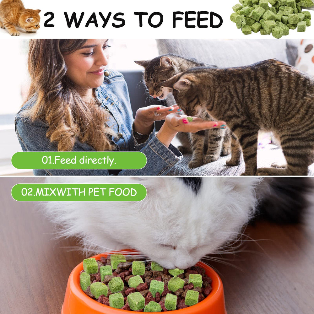HavenJanny hairball-control snack illustrating smoother grooming and digestion support