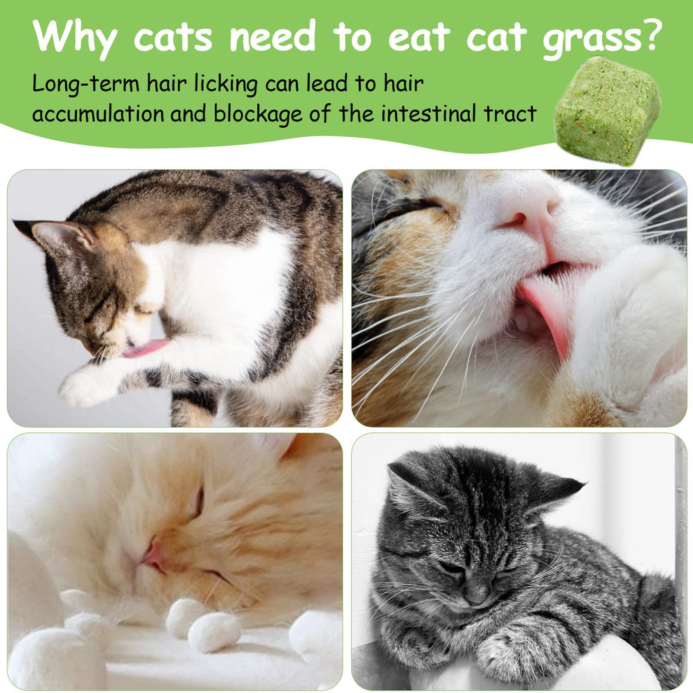 HavenJanny safe-healthy-cat-treats image reinforcing confidence in natural ingredients