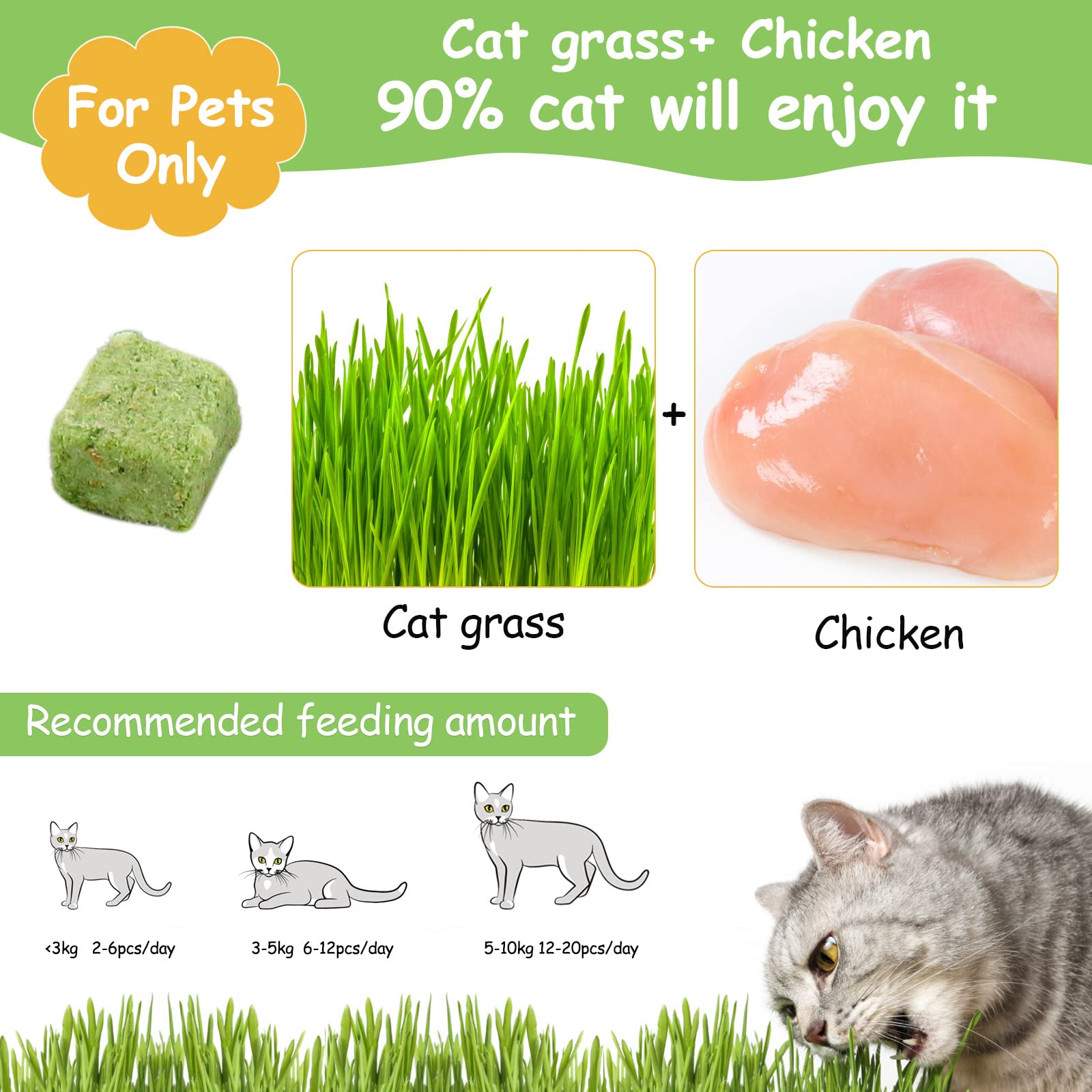 HavenJanny teething-stick cat grass focusing on soothing crunch for dental comfort