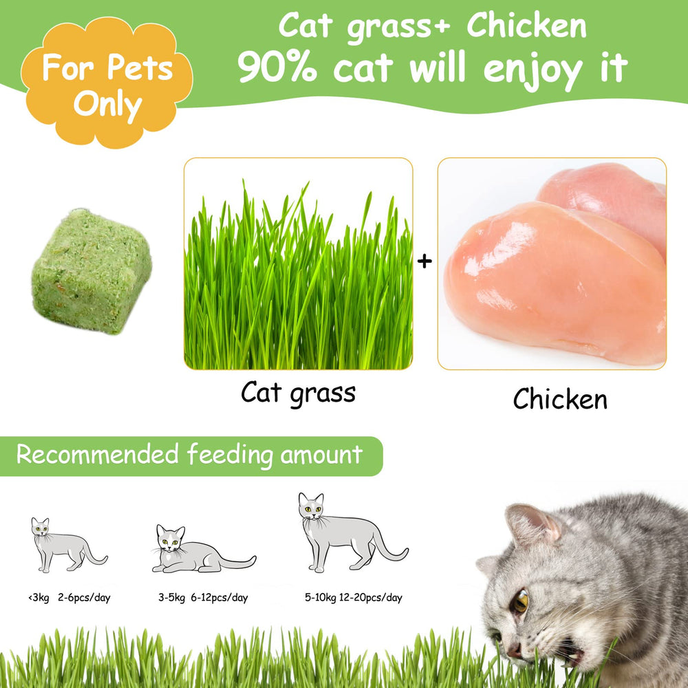 HavenJanny teething-stick cat grass focusing on soothing crunch for dental comfort