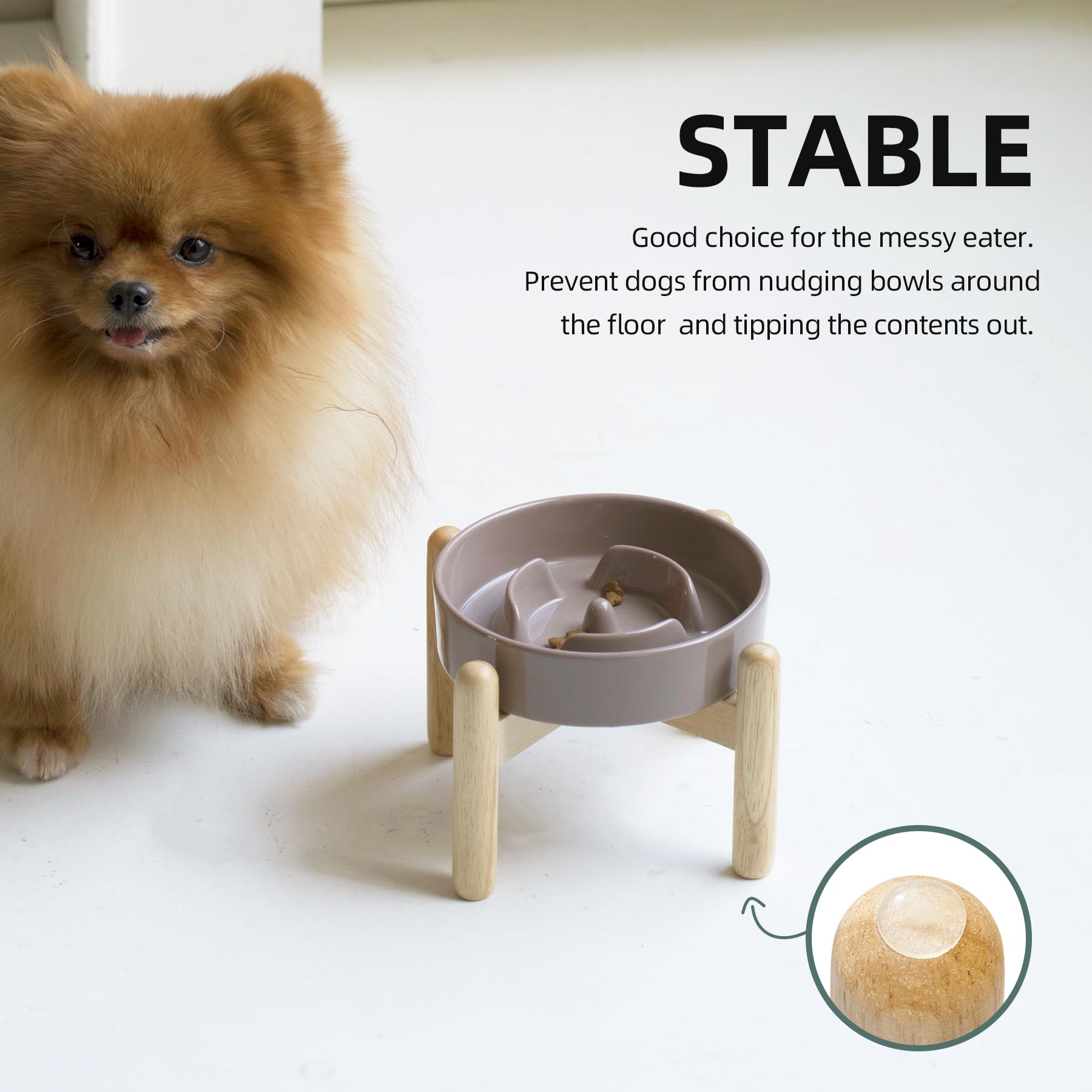 Havniva 6.1-inch slow dish fits small pets' meals