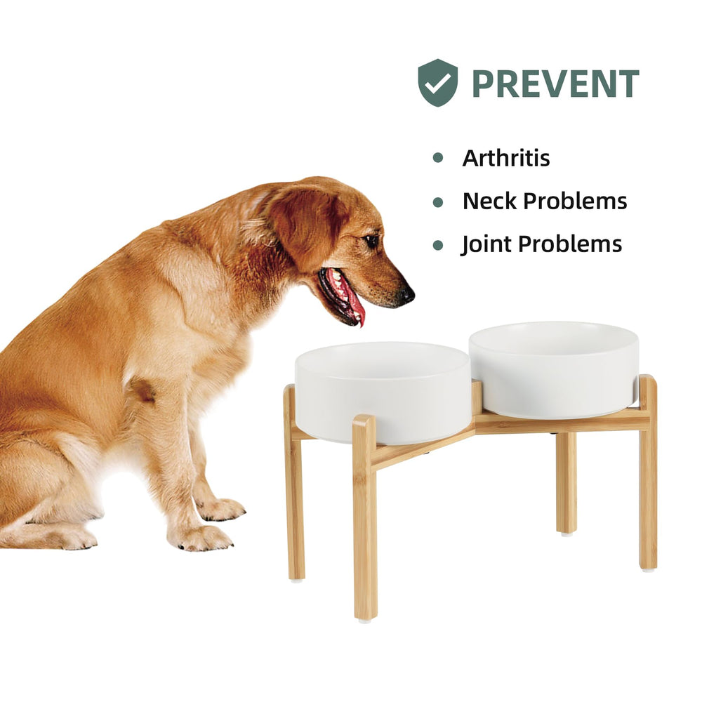 Havniva 60 oz water capacity helps keep pets hydrated throughout the day
