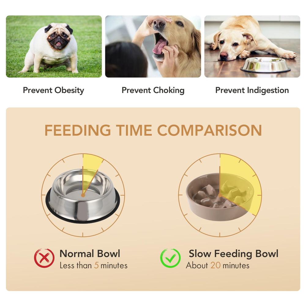Havniva anti-slip base stabilizes bowls during pet mealtime.