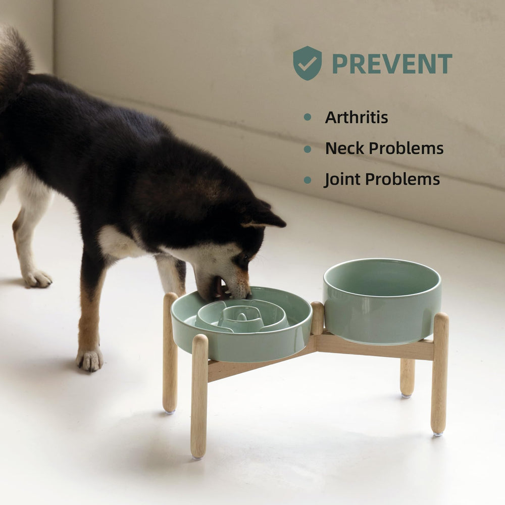 Havniva anti-slip base prevents sliding during feeding.