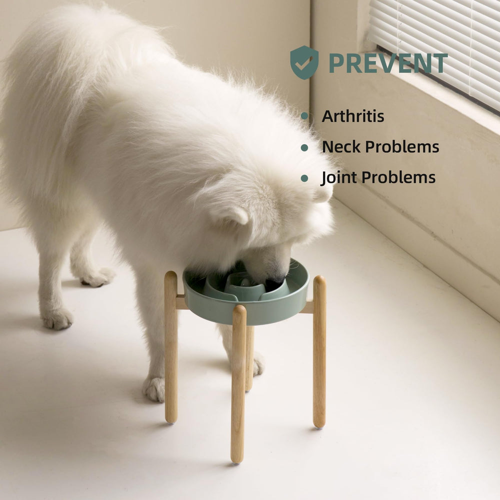 Havniva anti-slip ceramic base keeps the bowl steady during feeding